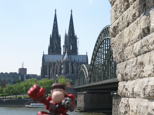Narizón errante en Colonia, Alemania
