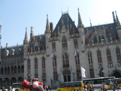 Narizón errante en Brujas, Bélgica